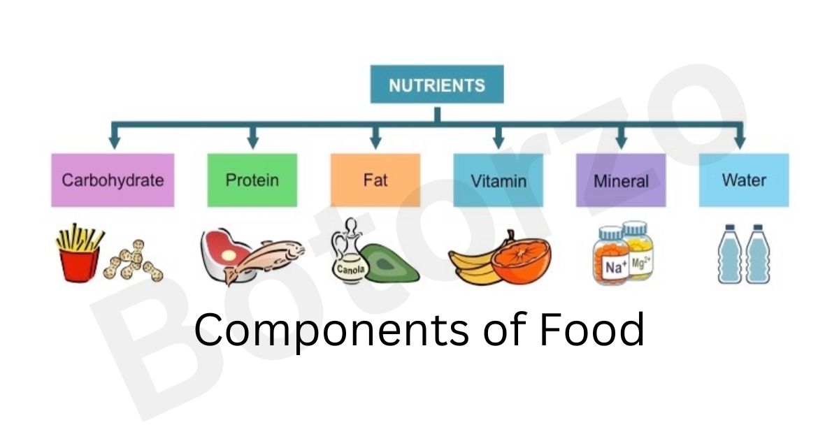 Components-of-Food