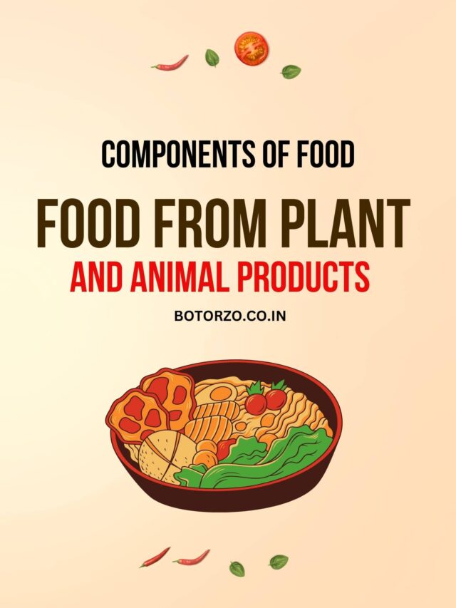 FOOD FROM PLANT AND ANIMAL PRODUCTS
