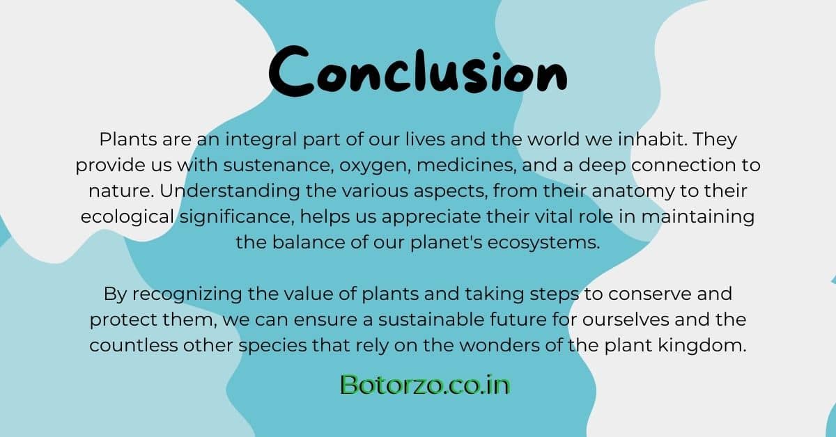 Conclusion Of Plants