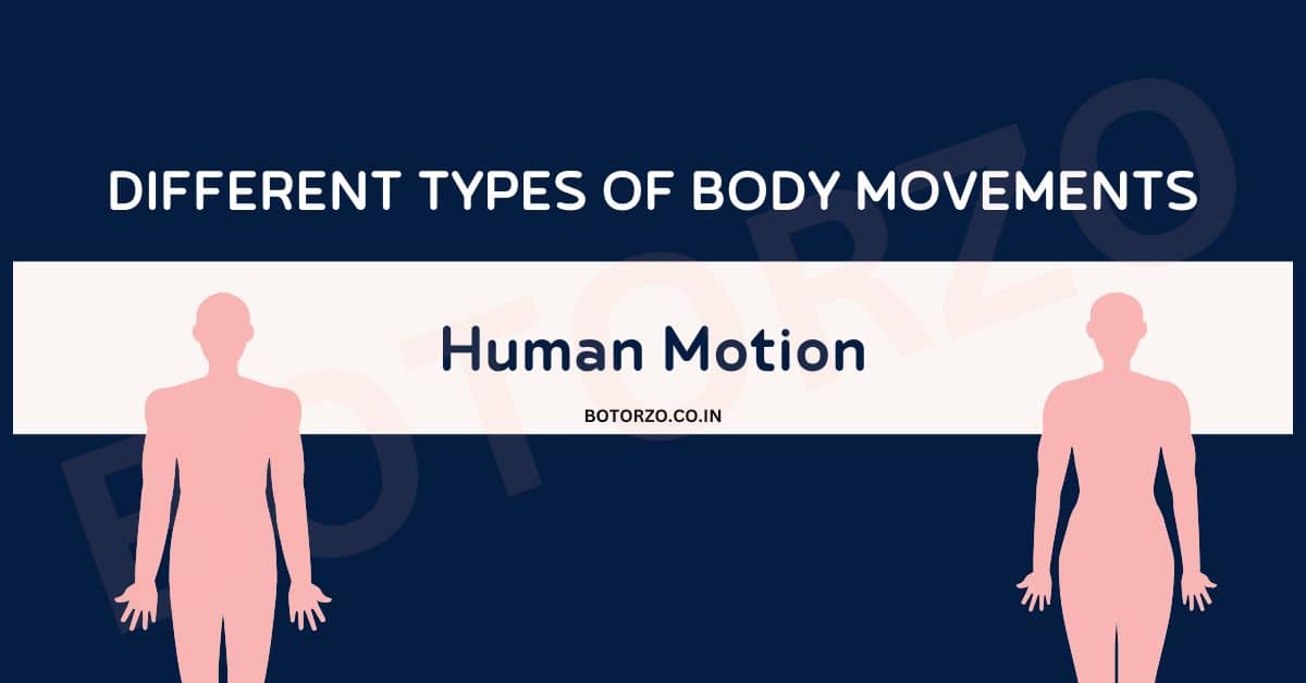 Different Types of Body Movements
