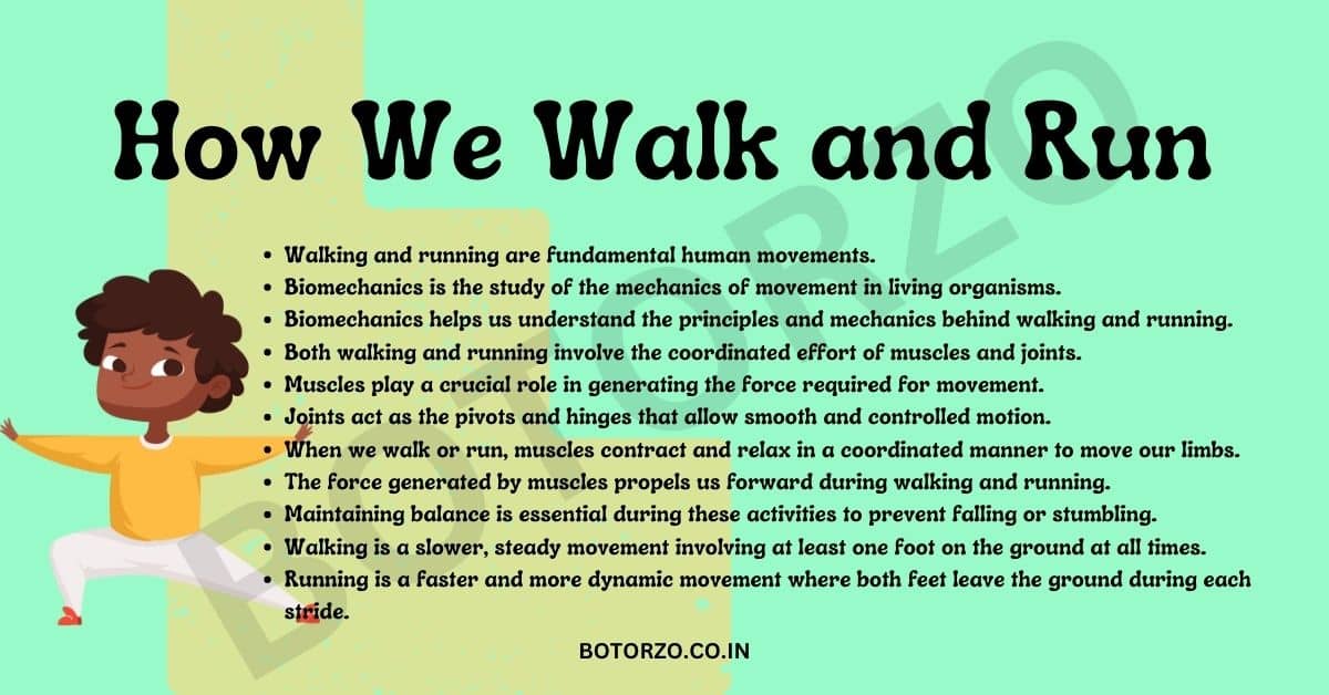 How We Walk and Run