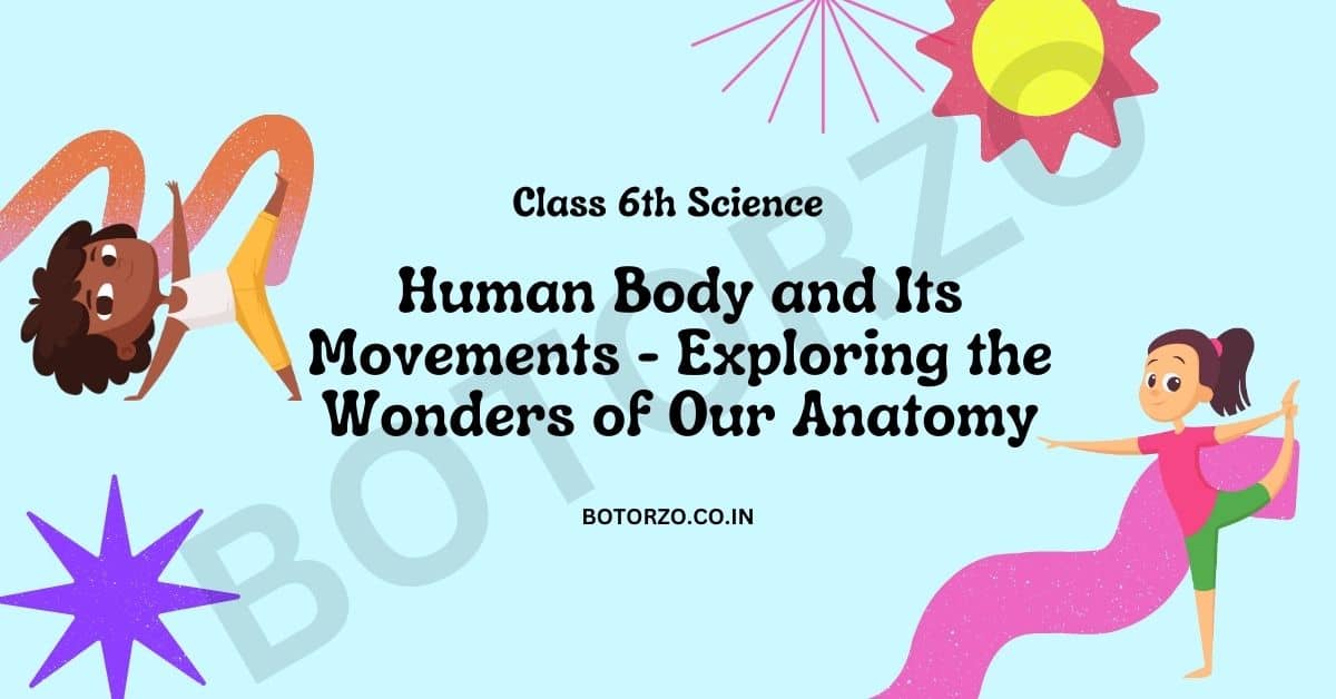 Human Body and Its Movements