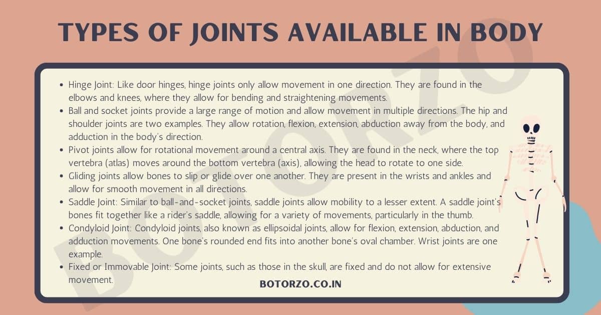 Types Of Joints available In Body