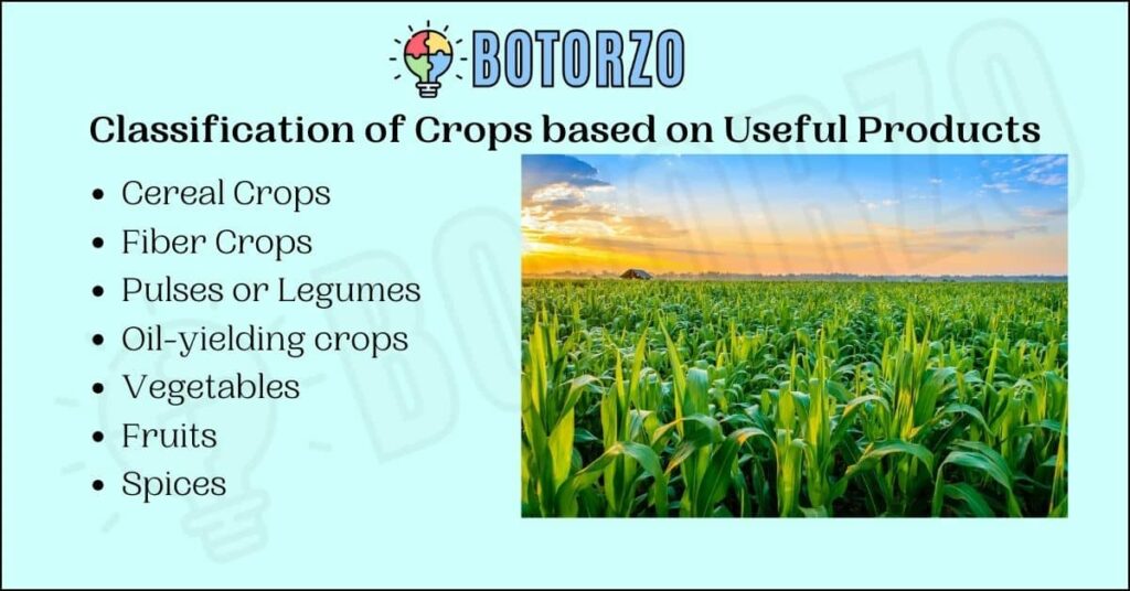 Classification of Crops based on Useful Products 