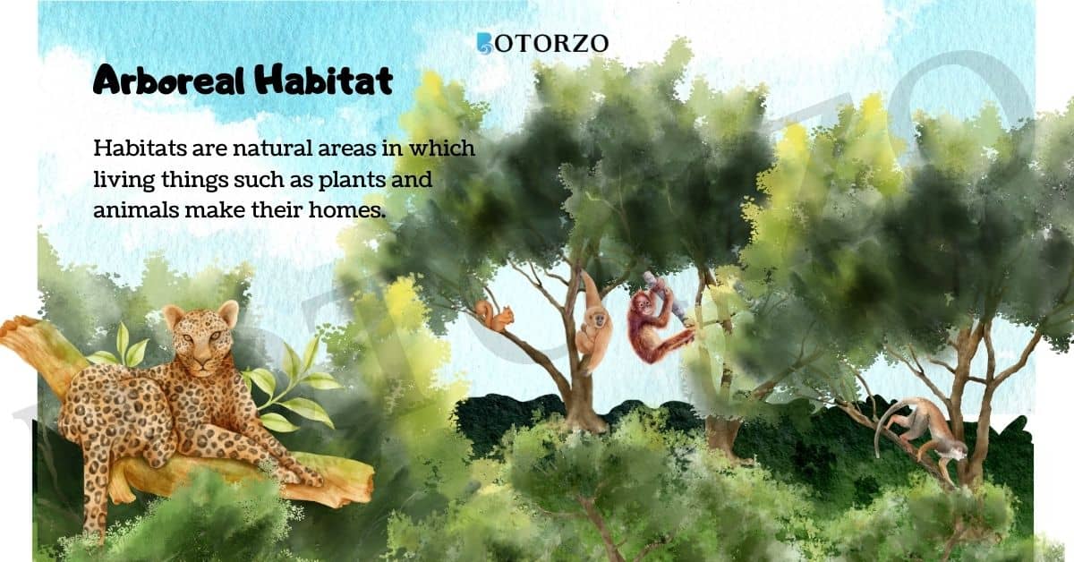 Arboreal Habitats