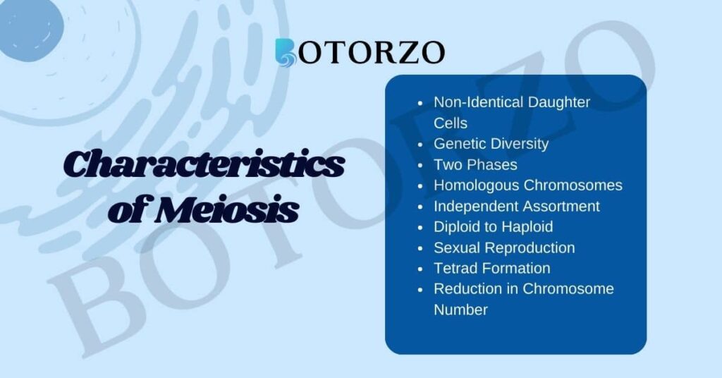 10 Characteristics of Meiosis