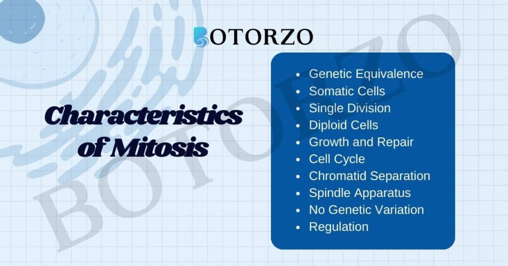 10 Characteristics of Mitosis