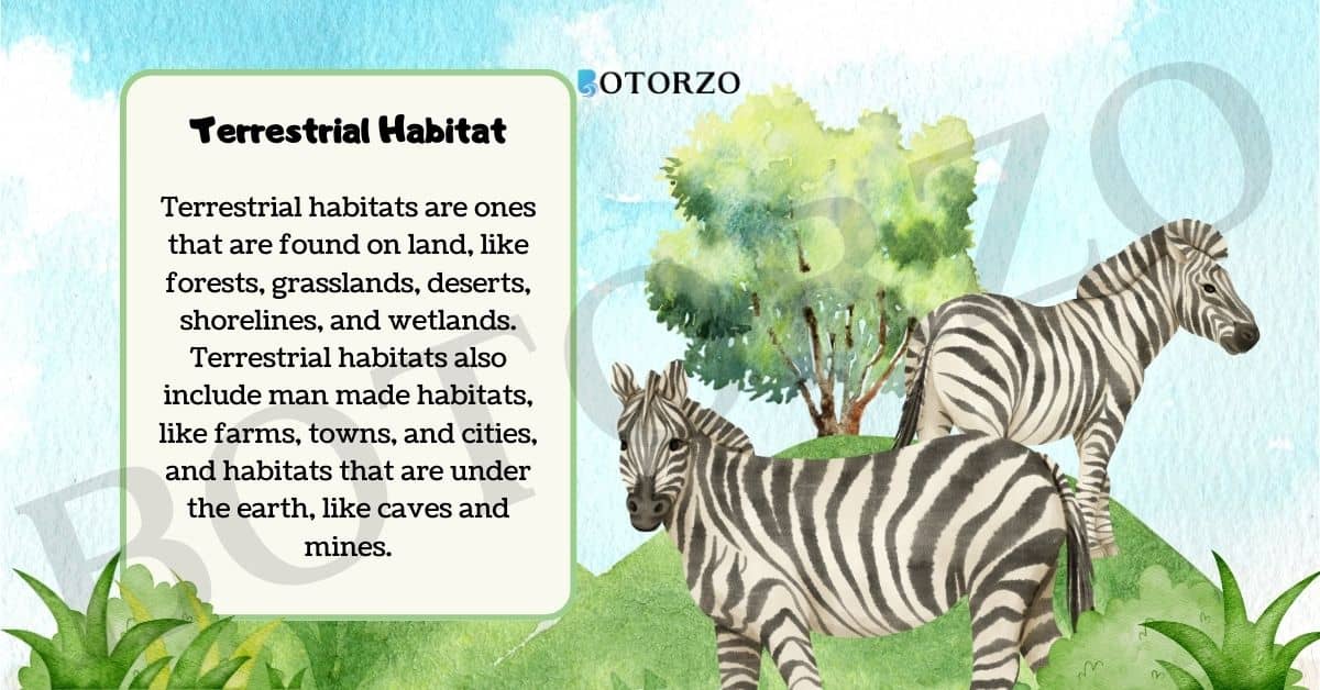 Terrestrial Habitats